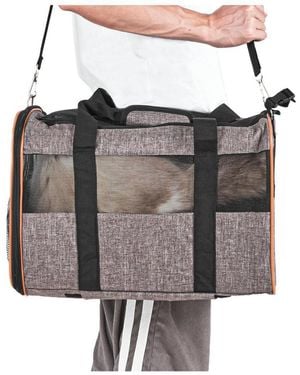 Rui Airline Approved Rolling Pet Carrier - Gray