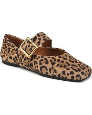 Franco Sarto Oakes Square Toe Ballerina Flats - Brown