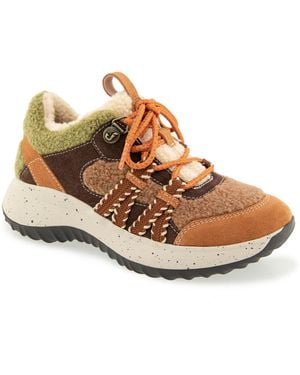 Jambu Goldie Round Toe Sneakers - Brown