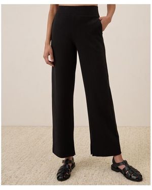 Pact Organic Cotton Airplane Wide Leg Pant - Black