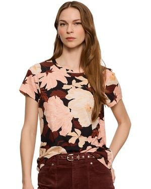 Sanctuary Petite Crewneck Short-sleeve T-shirt - Brown