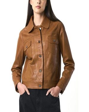Velez Kalahari Genuine Leather Semi-fitted Silhouette Trucker Jacket - Brown