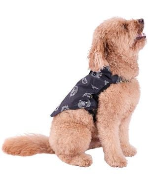 Natori Black Camp Shirt & Harness Set - Brown