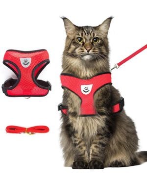 Aronkl Summer Cat Harness Leash Set Anti Escape Adjustable Soft Mesh Reflective Breathable Lightweight - Red