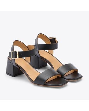 Nisolo Stella Go-to Block Heel Sandal - Black
