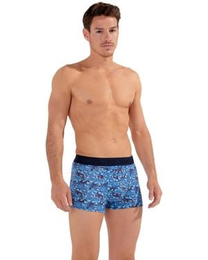 Hom Vibe Boxer Briefs Ho1 - Blue