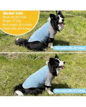Aronkl 2-pack Lightweight Athletic Dog T-shirt - Green