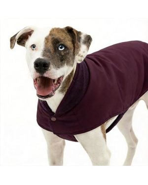 Aronkl Loft Dog Jacket: Insulated - Purple