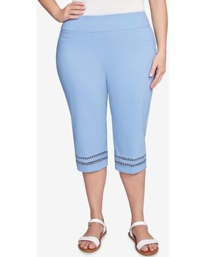 Ruby Rd. Plus Size Dreamy clamdigger Pants - Blue