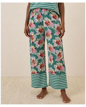 Pact Organic Cotton Staycation Sleep Pant - Blue