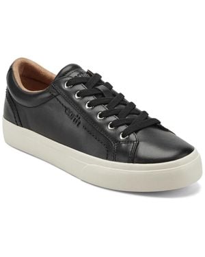 Earth Dailey Low Profile Lace-up Sneakers - Black