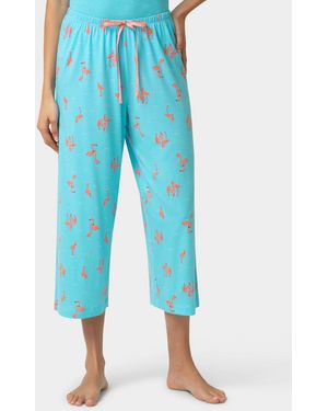 Hue Printed Capri Mid-rise Pants - Blue