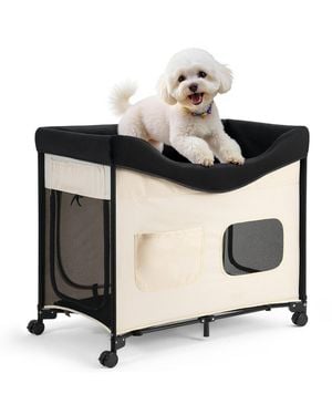 Cozito Xl Elevated Foldable Bunk Pet Bed - Black