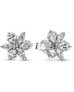 PANDORA Sparkling Herbarium Cluster Stud Earrings - White