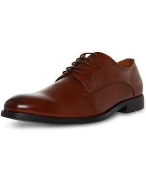 Steve Madden Daxton Derby Dress Shoes - Brown