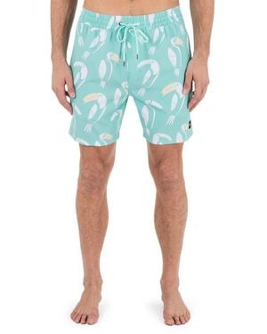 Hurley Cannonball Volley Boardshorts - Blue