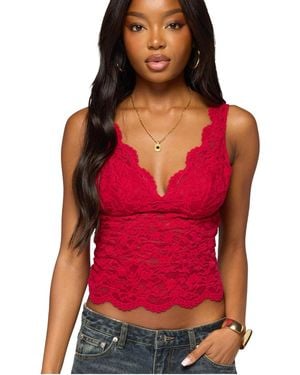 Edikted Araura Lace Velvet Floral Top - Red
