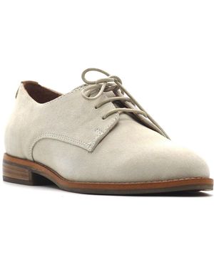Gentle Souls Aronson Almond Toe Suede Lace-up Oxford Shoes - White