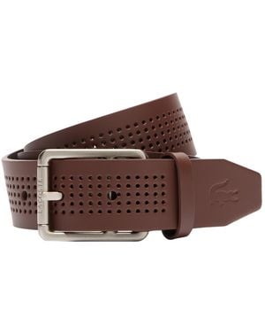 Lacoste Harness Buckle Perforated Leather Belt - Brown