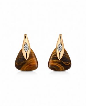 Ettika 18k Gold-plated Tiger's Eye Solstice Earrings - Multicolor