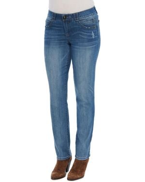 Democracy "ab"solution Mid Rise Straight Leg Jeans - Blue