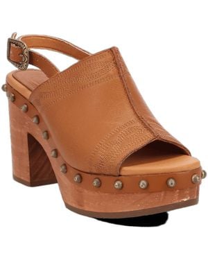 Dingo Clover Wooden Sandal - Brown