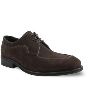 Alfani Noahh Genuine Suede Leather Lace Up Dress Shoes - Brown