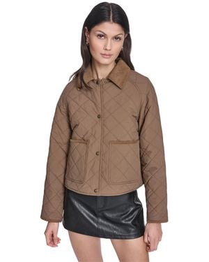 Levi's Quilted Corduroy Collar Jacket - Brown