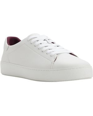 Ted Baker Albury Everyday Sneakers - White