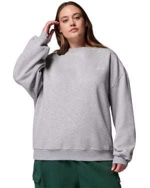 Columbia Plus Size Aldermore Crewneck Sweatshirt - Gray