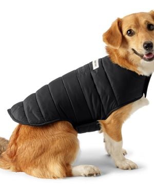 Lands' End Dog Coat Wanderweight Jacket - Black