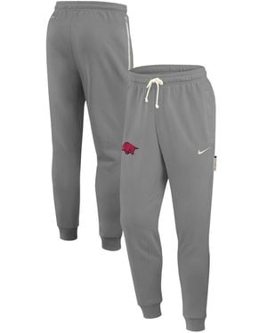 Nike Arkansas Razorbacks 2025 Sideline Performance Taper Pants - Gray