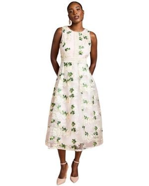 Coast Embroidered Mesh Lace Skirted Midi Dress - White