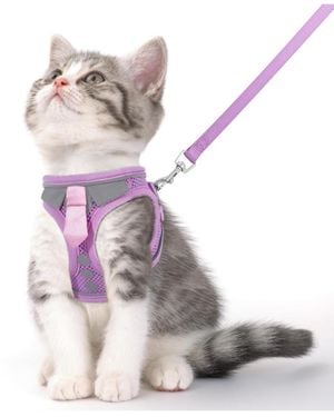 Aronkl Escape Proof Cat Harness Leash Set Soft Adjustable Breathable Mesh Reflective Strips For Kitten Puppy Bunny - White