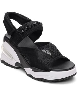 Ash Diva Round Toe Wedge Sandals - Black