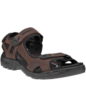 Ecco Yucatan Sandals - Black