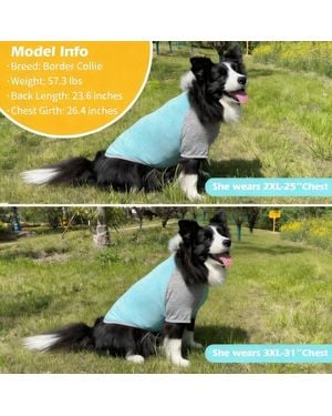 Aronkl 2-pack Lightweight Athletic Dog T-shirt - Green