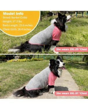 Aronkl 2-pack Lightweight Athletic Dog T-shirt - Green