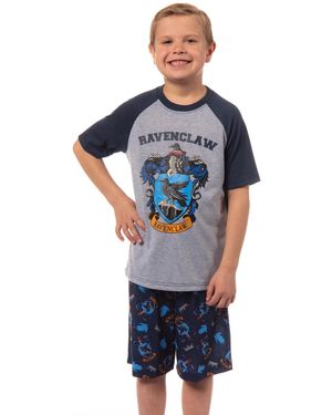 Harry Potter Boys Hogwarts Castle All Houses 2 Piece Raglan Pajama Set - Blue