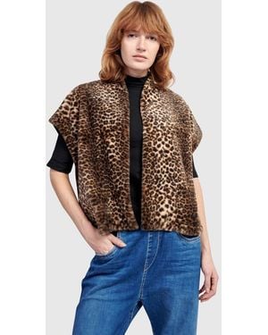 Alembika Prowl Vest - Blue