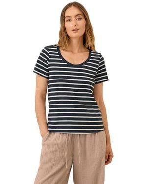 Pact Organic Cotton Softspun Scoop Neck Tee - Blue