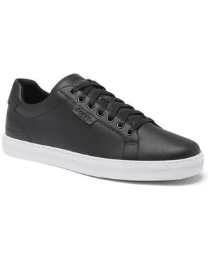 Sorel Cyprus Waterproof Sneaker - Black