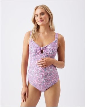 Ripe Maternity Maternity Ripe Skipper Tie Front One Piece - Purple