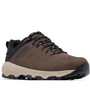 Columbia Newton Nimble Leather Shoe - Brown