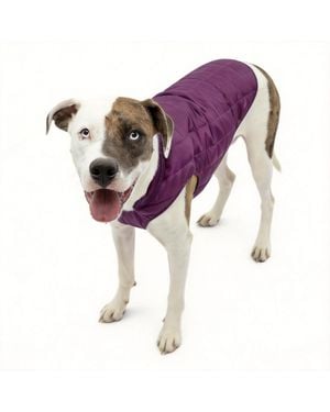 Aronkl Loft Dog Jacket: Insulated - Purple