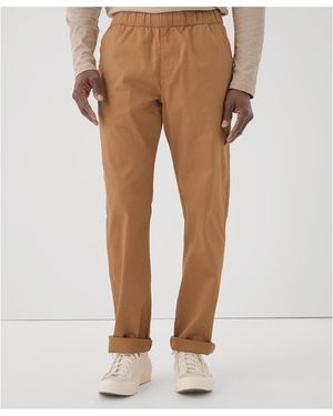 Pact Organic Cotton Daily Twill Midweight Pant - Natural
