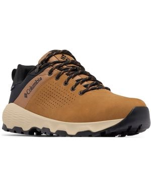 Columbia Newton Nimble Leather Shoe - Brown