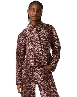 Steve Madden Sloan Collared Jacket - Brown