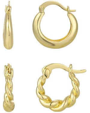 Adornia Set Of 2 Purse Hoop Earrings - Metallic