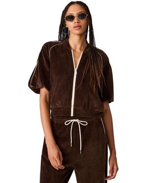 Steve Madden Velour Track Long-sleeve Jacket - Brown